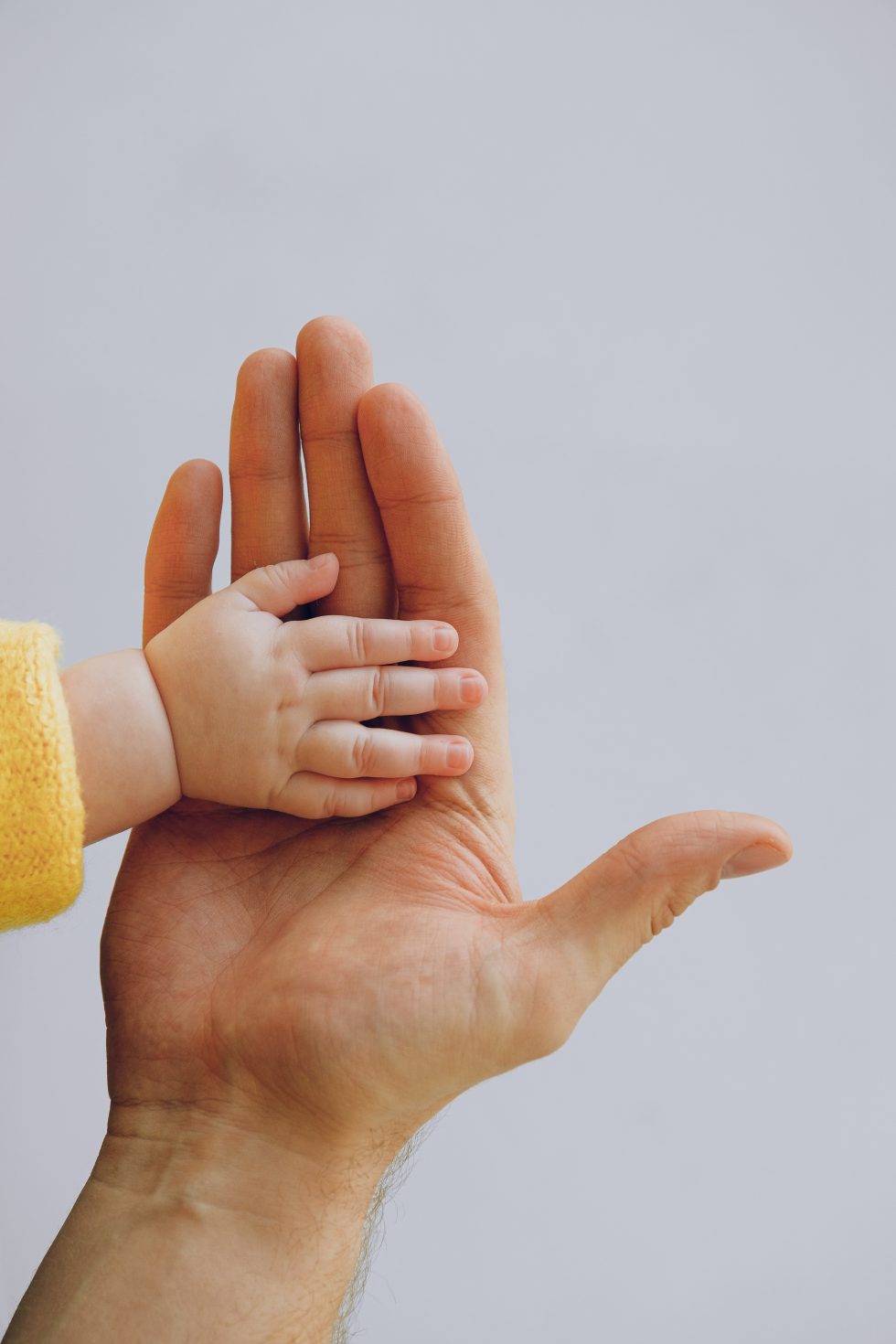 Update On Child Support And Temporary Maintenance In NYS Mersereau 